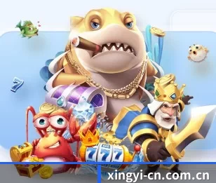 实时比分与赛程查询